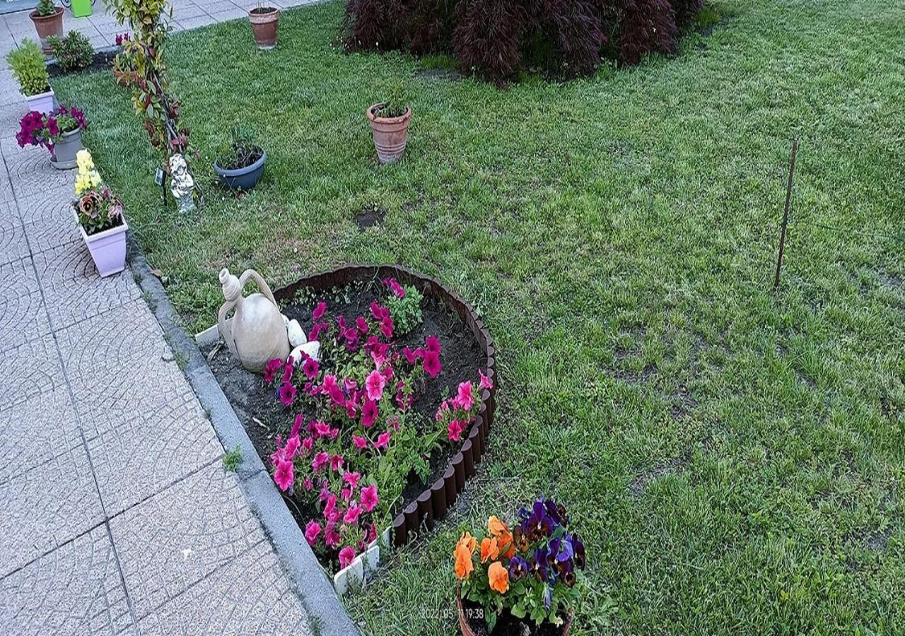 La Magnolia B&B Gassino Torinese Exteriör bild