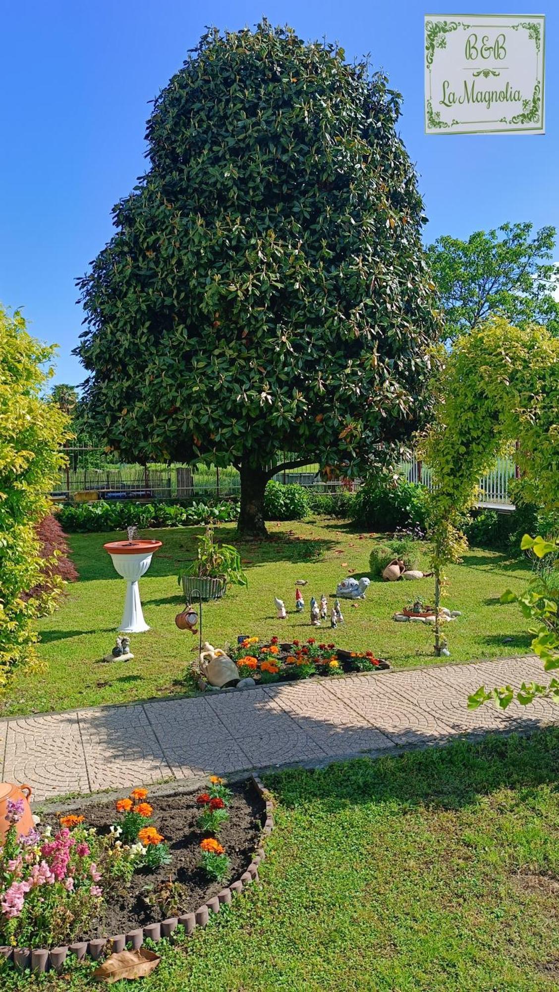 La Magnolia B&B Gassino Torinese Exteriör bild